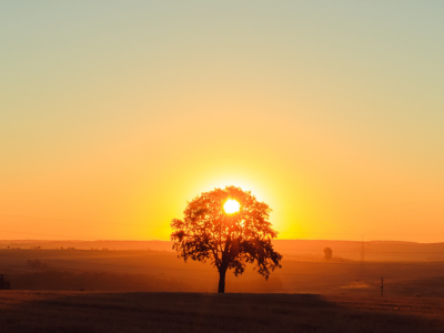 Main Video Thumbnail